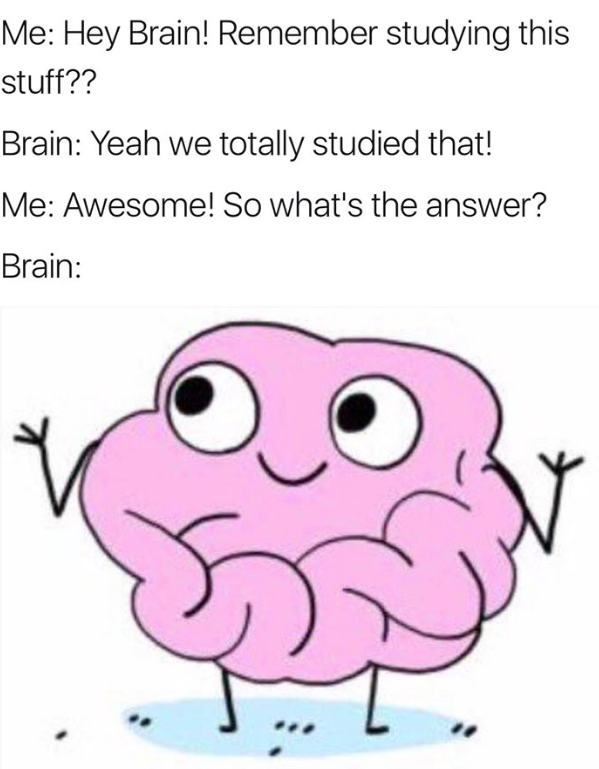 Newcastle Student Housing