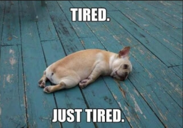 Newcastle Student Housing