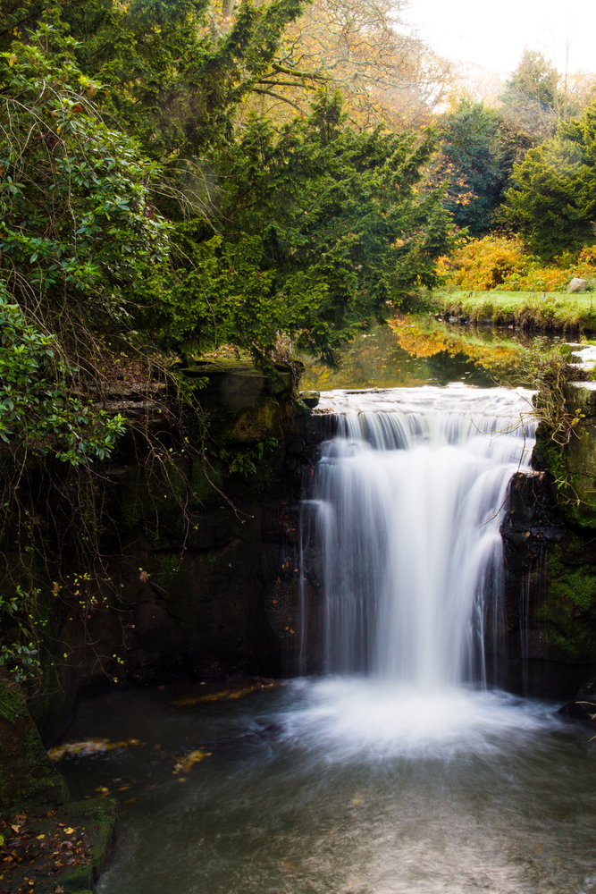 Jesmond dene